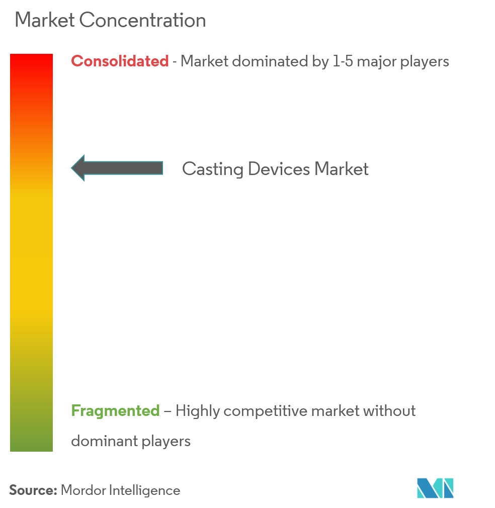 Casting Devices Market Concentration casting devices market